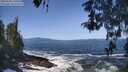 ./images/koeye/fitz-hugh/20260503/fitz-hugh20260503_110501M.jpg