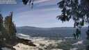 ./images/koeye/fitz-hugh/20260503/fitz-hugh20260503_113501M.jpg