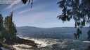 ./images/koeye/fitz-hugh/20260503/fitz-hugh20260503_115001M.jpg