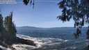 ./images/koeye/fitz-hugh/20260503/fitz-hugh20260503_121502M.jpg