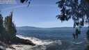 ./images/koeye/fitz-hugh/20260503/fitz-hugh20260503_122501M.jpg