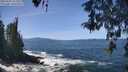 ./images/koeye/fitz-hugh/20260503/fitz-hugh20260503_124001M.jpg