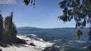 ./images/koeye/fitz-hugh/20260503/fitz-hugh20260503_130001M.jpg