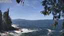 ./images/koeye/fitz-hugh/20260503/fitz-hugh20260503_132501M.jpg