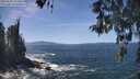 ./images/koeye/fitz-hugh/20260503/fitz-hugh20260503_133501M.jpg