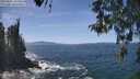 ./images/koeye/fitz-hugh/20260503/fitz-hugh20260503_134501M.jpg