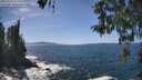 ./images/koeye/fitz-hugh/20260503/fitz-hugh20260503_141501M.jpg