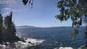 ./images/koeye/fitz-hugh/20260503/fitz-hugh20260503_142001M.jpg