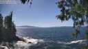 ./images/koeye/fitz-hugh/20260503/fitz-hugh20260503_143501M.jpg
