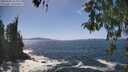 ./images/koeye/fitz-hugh/20260503/fitz-hugh20260503_144001M.jpg