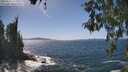 ./images/koeye/fitz-hugh/20260503/fitz-hugh20260503_145002M.jpg