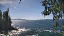 ./images/koeye/fitz-hugh/20260503/fitz-hugh20260503_145501M.jpg