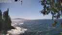 ./images/koeye/fitz-hugh/20260503/fitz-hugh20260503_150501M.jpg