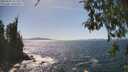 ./images/koeye/fitz-hugh/20260503/fitz-hugh20260503_152001M.jpg