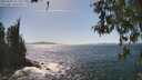 ./images/koeye/fitz-hugh/20260503/fitz-hugh20260503_152502M.jpg