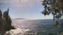 ./images/koeye/fitz-hugh/20260503/fitz-hugh20260503_153002M.jpg