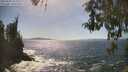./images/koeye/fitz-hugh/20260503/fitz-hugh20260503_154501M.jpg