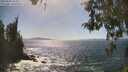 ./images/koeye/fitz-hugh/20260503/fitz-hugh20260503_155001M.jpg