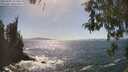 ./images/koeye/fitz-hugh/20260503/fitz-hugh20260503_155501M.jpg