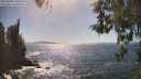 ./images/koeye/fitz-hugh/20260503/fitz-hugh20260503_160501M.jpg
