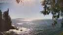 ./images/koeye/fitz-hugh/20260503/fitz-hugh20260503_161001M.jpg
