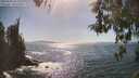 ./images/koeye/fitz-hugh/20260503/fitz-hugh20260503_162001M.jpg