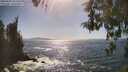 ./images/koeye/fitz-hugh/20260503/fitz-hugh20260503_162501M.jpg