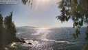 ./images/koeye/fitz-hugh/20260503/fitz-hugh20260503_163501M.jpg