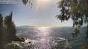 ./images/koeye/fitz-hugh/20260503/fitz-hugh20260503_164001M.jpg