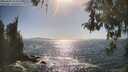 ./images/koeye/fitz-hugh/20260503/fitz-hugh20260503_164501M.jpg