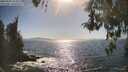 ./images/koeye/fitz-hugh/20260503/fitz-hugh20260503_165001M.jpg