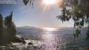 ./images/koeye/fitz-hugh/20260503/fitz-hugh20260503_171501M.jpg