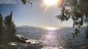 ./images/koeye/fitz-hugh/20260503/fitz-hugh20260503_172502M.jpg