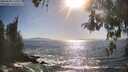./images/koeye/fitz-hugh/20260503/fitz-hugh20260503_173002M.jpg