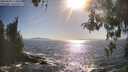 ./images/koeye/fitz-hugh/20260503/fitz-hugh20260503_173501M.jpg