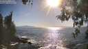 ./images/koeye/fitz-hugh/20260503/fitz-hugh20260503_174002M.jpg
