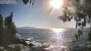 ./images/koeye/fitz-hugh/20260503/fitz-hugh20260503_175002M.jpg