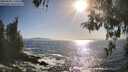 ./images/koeye/fitz-hugh/20260503/fitz-hugh20260503_175501M.jpg