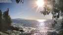 ./images/koeye/fitz-hugh/20260503/fitz-hugh20260503_180001M.jpg