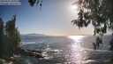 ./images/koeye/fitz-hugh/20260503/fitz-hugh20260503_181001M.jpg