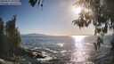 ./images/koeye/fitz-hugh/20260503/fitz-hugh20260503_182001M.jpg