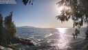 ./images/koeye/fitz-hugh/20260503/fitz-hugh20260503_182501M.jpg