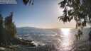 ./images/koeye/fitz-hugh/20260503/fitz-hugh20260503_183501M.jpg