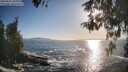 ./images/koeye/fitz-hugh/20260503/fitz-hugh20260503_184002M.jpg