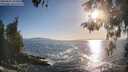 ./images/koeye/fitz-hugh/20260503/fitz-hugh20260503_184501M.jpg