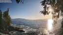 ./images/koeye/fitz-hugh/20260503/fitz-hugh20260503_191502M.jpg