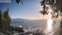 ./images/koeye/fitz-hugh/20260503/fitz-hugh20260503_192001M.jpg