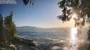 ./images/koeye/fitz-hugh/20260503/fitz-hugh20260503_193001M.jpg