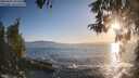 ./images/koeye/fitz-hugh/20260503/fitz-hugh20260503_193501M.jpg