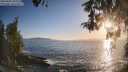 ./images/koeye/fitz-hugh/20260503/fitz-hugh20260503_194001M.jpg